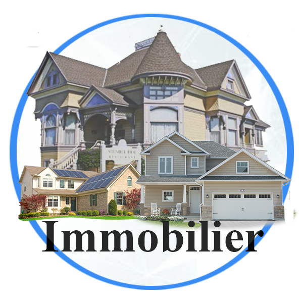 Immobilier 